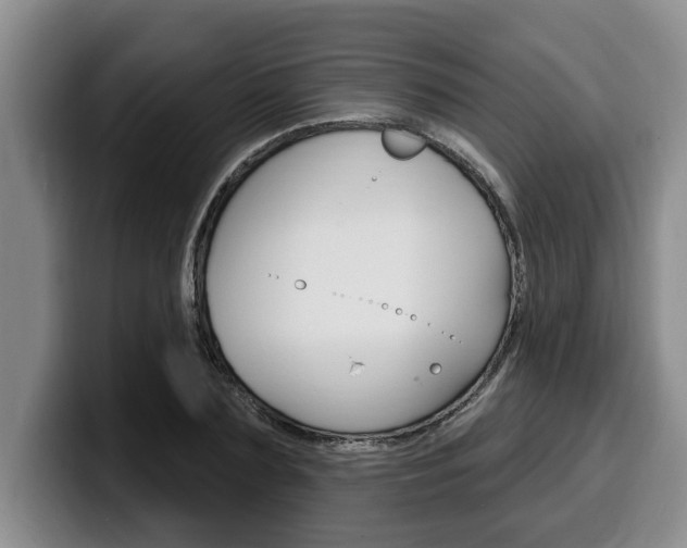 X0000100320883200806051347