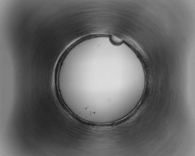 X0000100320884200806051347