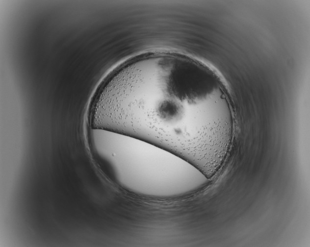 X0000100320887200806051347
