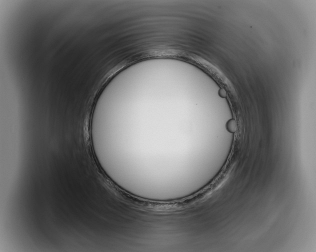 X0000100320889200806051347