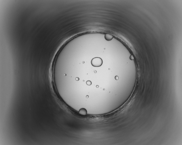 X0000100320891200806051347
