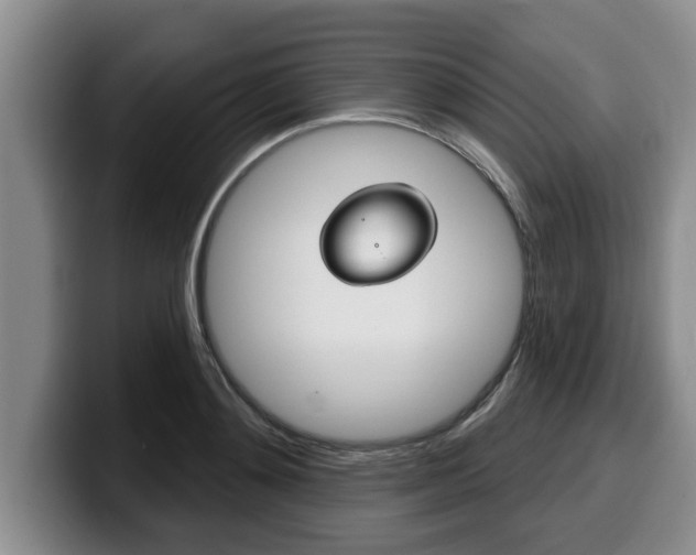 X0000100320892200806051347