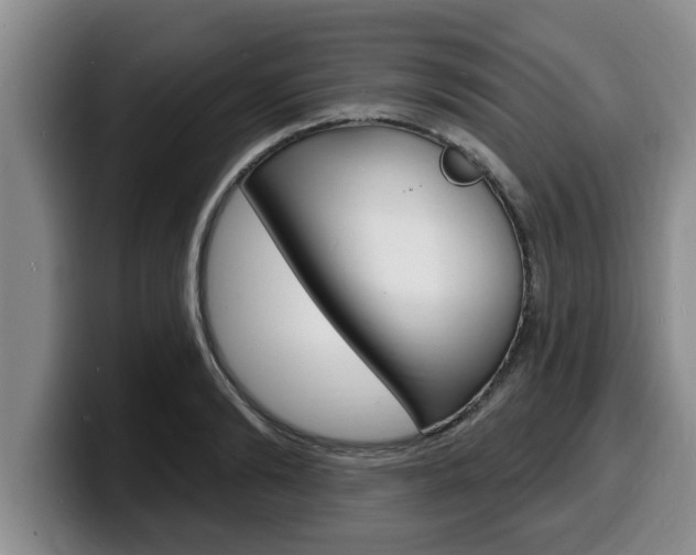 X0000100320894200806051347