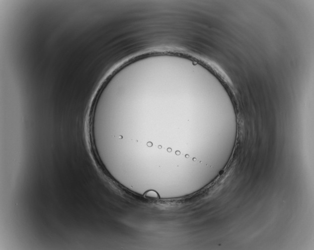 X0000100320895200806051347