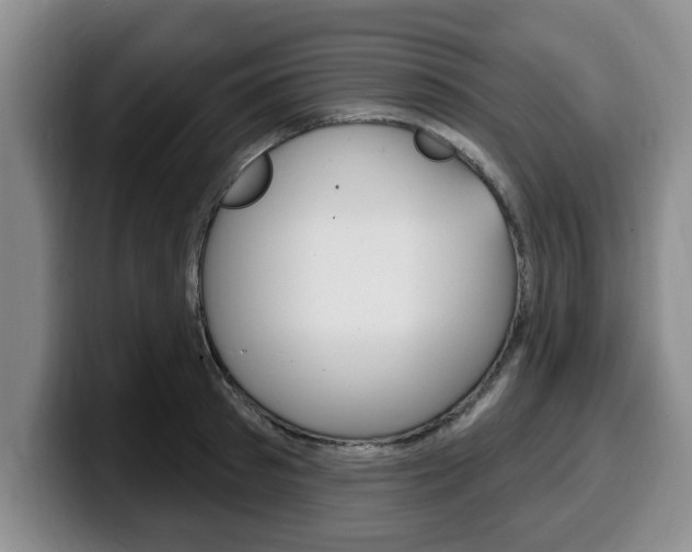 X0000100320897200806051347