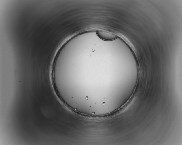 X0000100320901200806051347