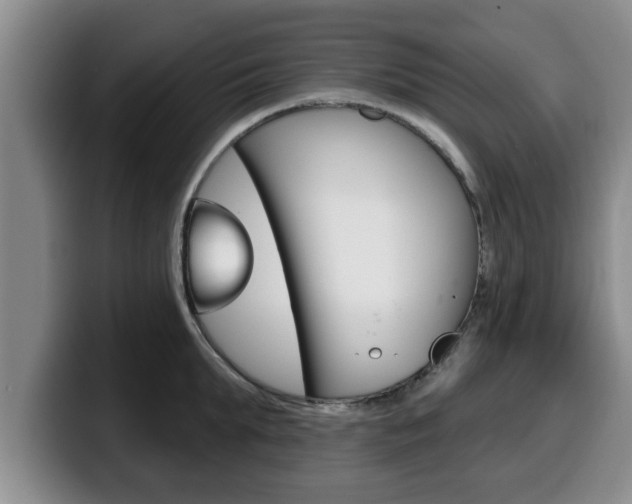 X0000100320903200806051347