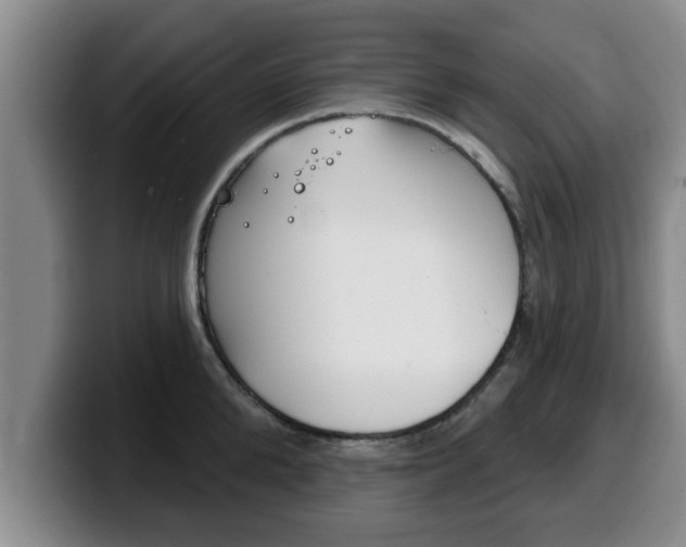 X0000100320904200806051347