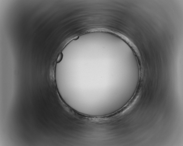 X0000100320905200806051347