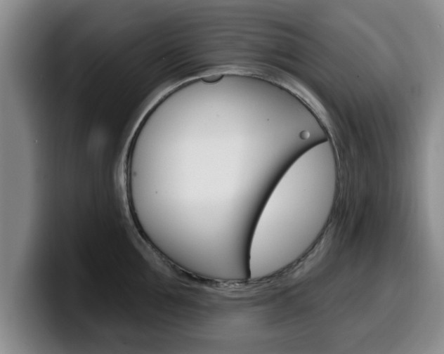 X0000100320907200806051347