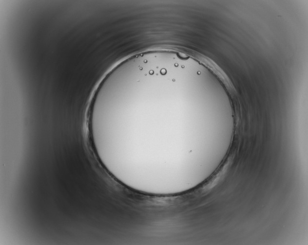 X0000100320908200806051347