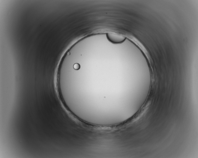 X0000100320909200806051347