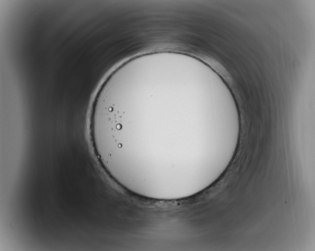 X0000100320912200806051347