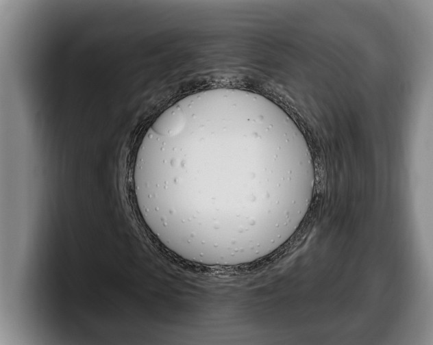 X0000100320913200806051346