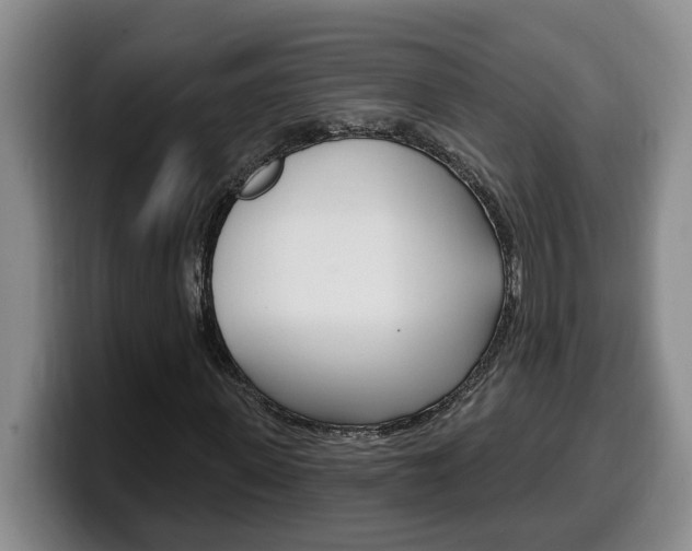 X0000100320915200806051346