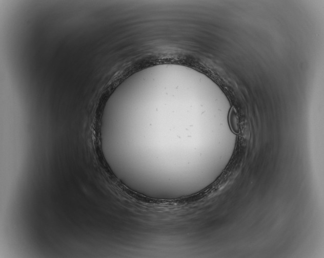 X0000100320916200806051346