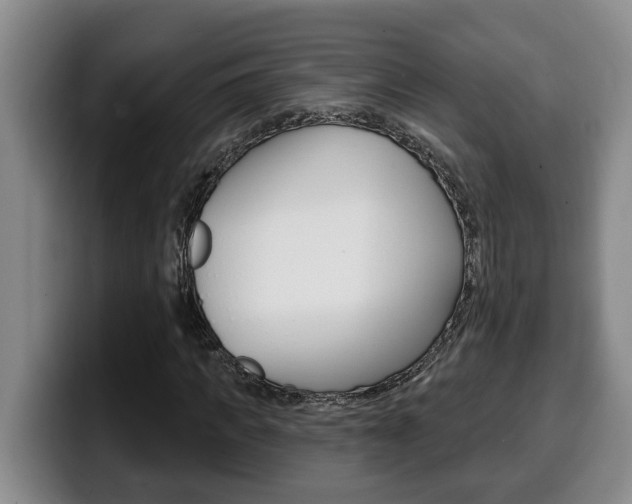 X0000100320917200806051346