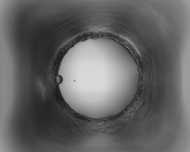X0000100320919200806051346