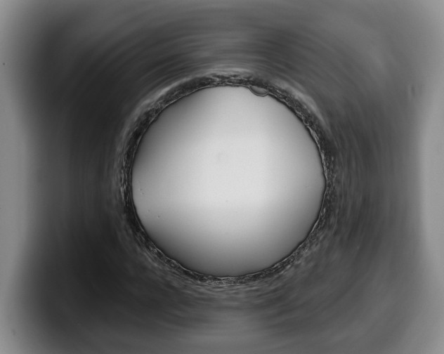 X0000100320920200806051346