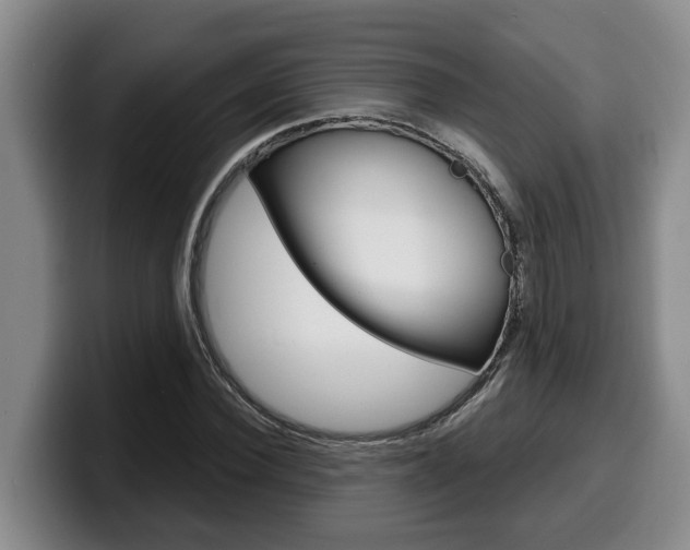 X0000100320924200806051346