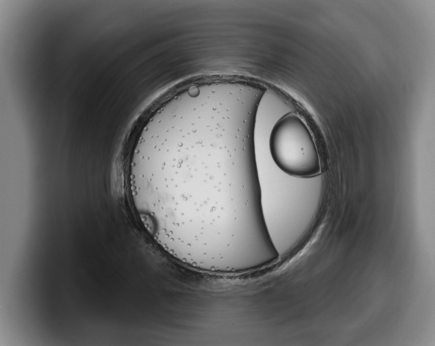 X0000100320925200806051347