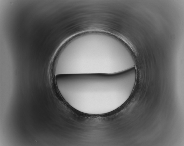 X0000100320926200806051347