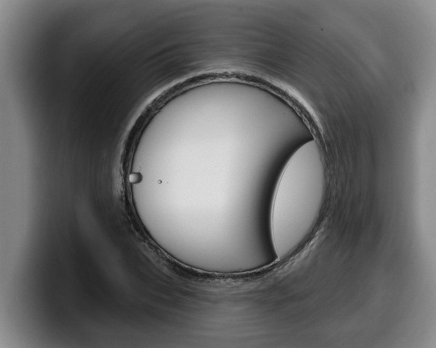 X0000100320927200806051347