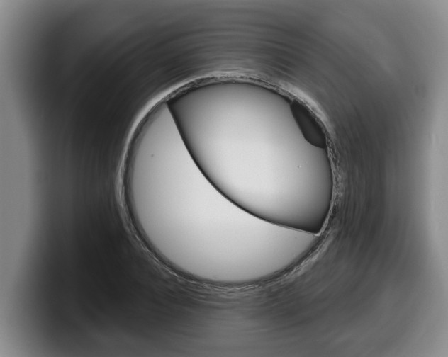 X0000100320928200806051347