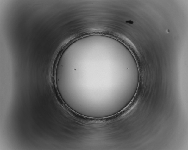 X0000100320930200806051347