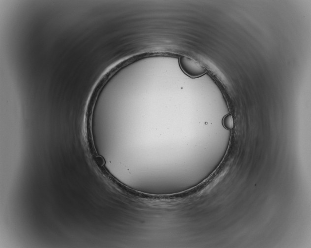 X0000100320932200806051347