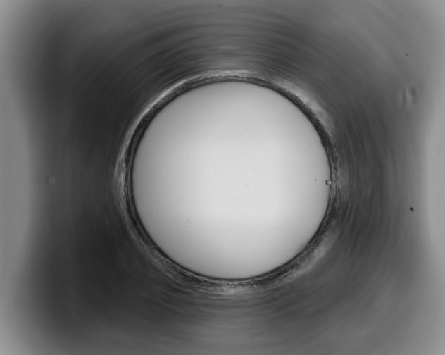 X0000100320933200806051347