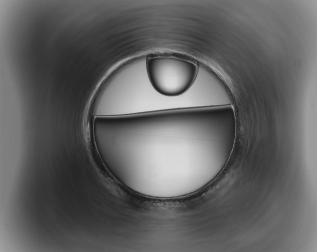 X0000100320934200806051347