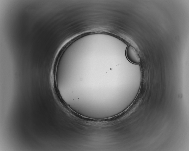 X0000100320936200806051347