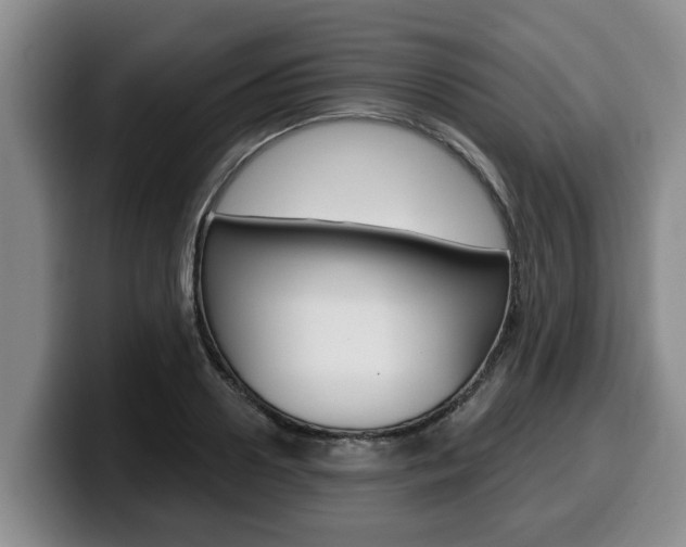 X0000100320938200806051347