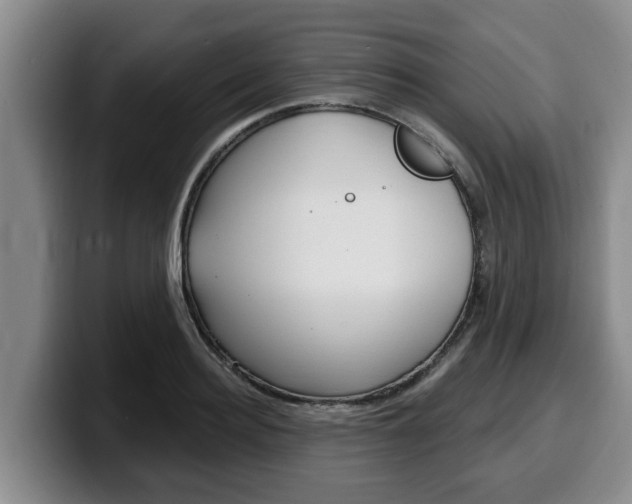 X0000100320940200806051347