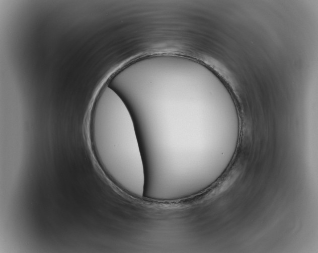 X0000100320941200806051347