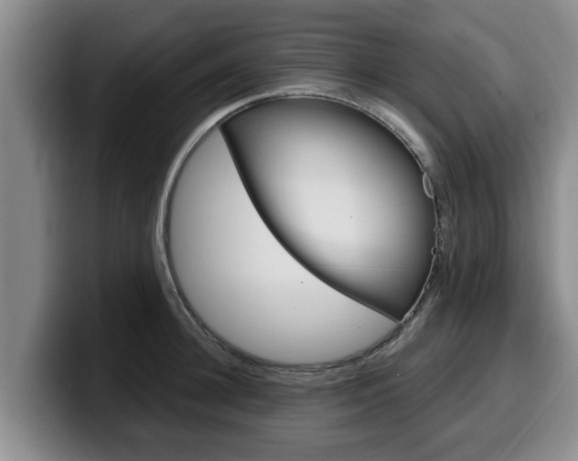 X0000100320948200806051347