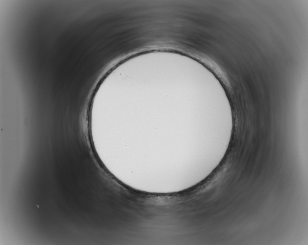 X0000100320950200806051347