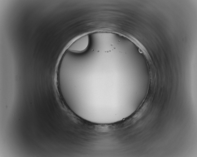 X0000100320956200806051347