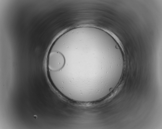 X0000100320957200806051347