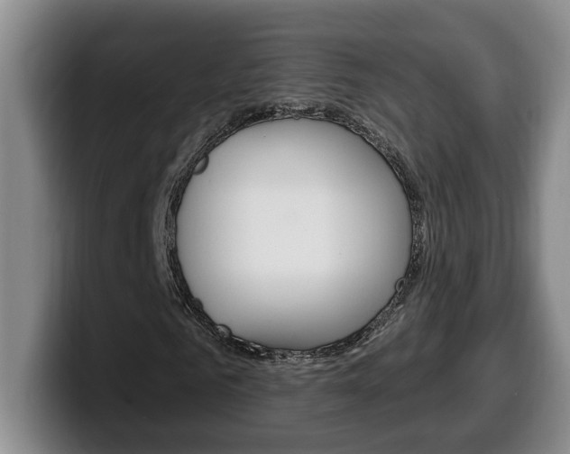 X0000100320961200806051346