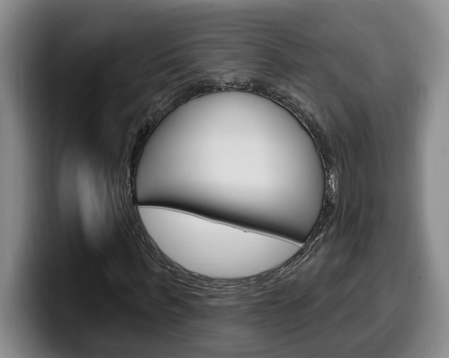 X0000100320963200806051346