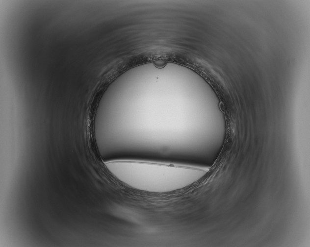 X0000100320964200806051346
