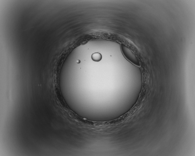 X0000100320965200806051346