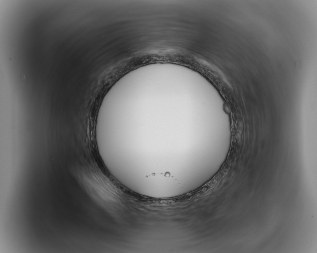 X0000100320966200806051346