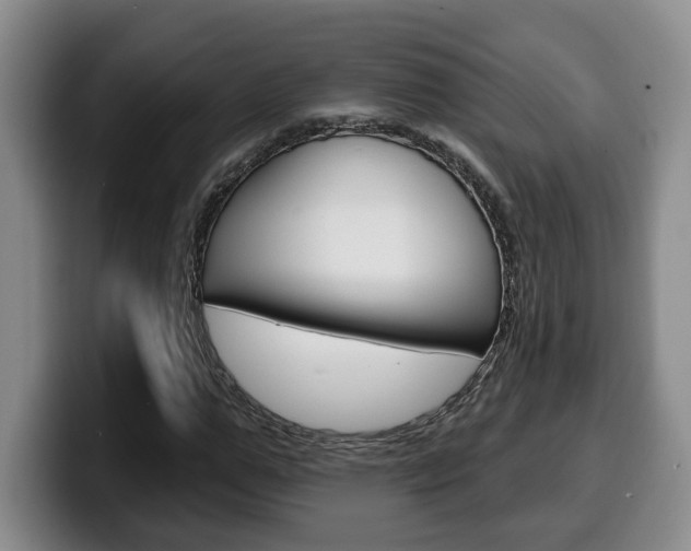 X0000100320967200806051346