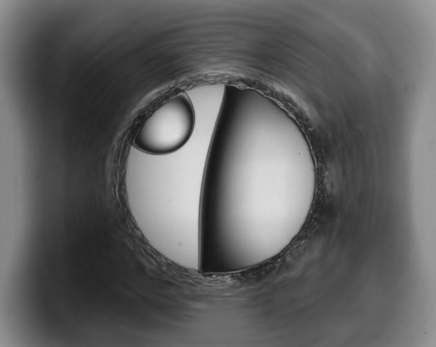 X0000100320968200806051346