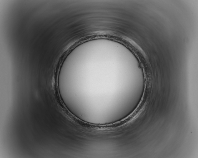 X0000100320969200806051346