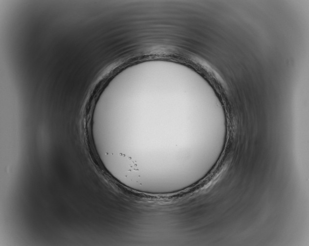 X0000100320970200806051346