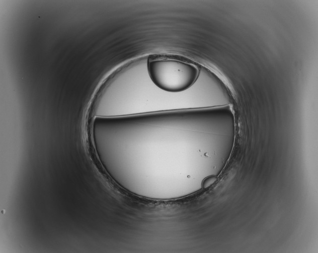 X0000100320972200806051346
